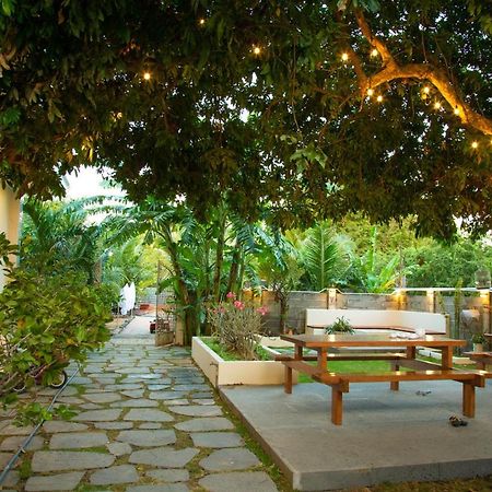 Thanh Thanh Mini Hotel Phan Ri Cua المظهر الخارجي الصورة